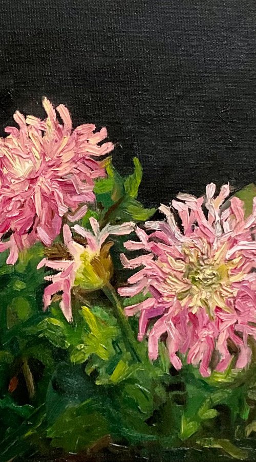 DAHLIAS by Vera Klimova