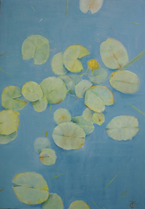 Pond 1 by Tina Castrignano'