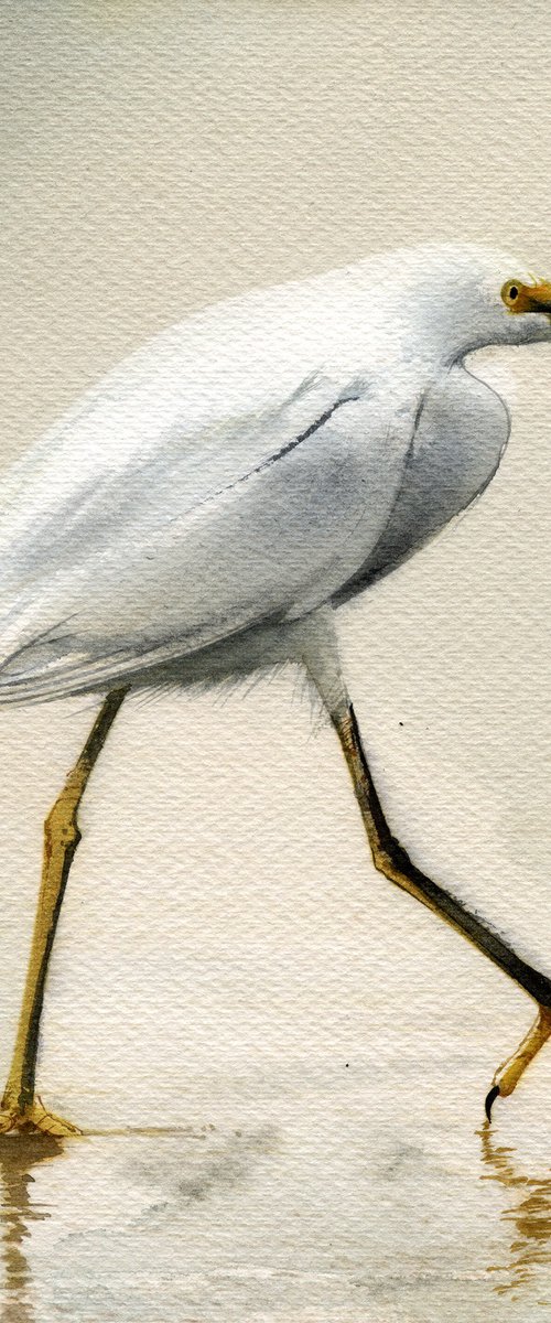 Bird CCLIII - Snowy egret by REME Jr.