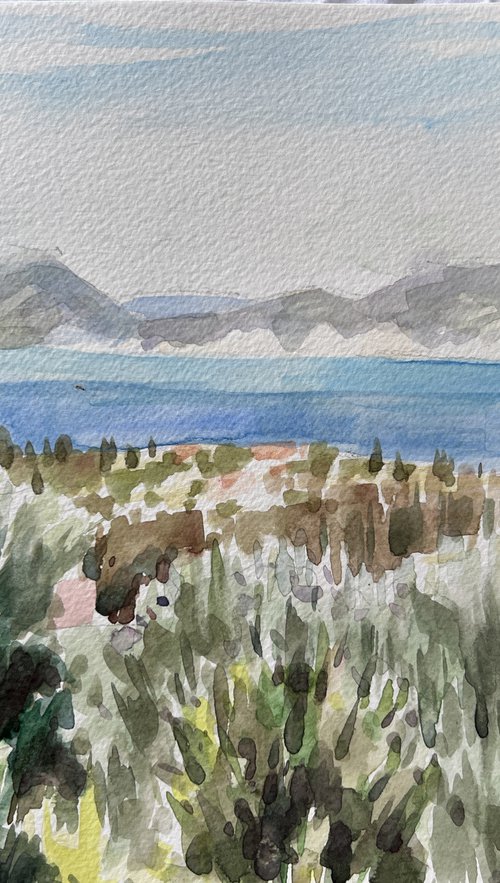 Kefalonia view III by Louise Gillard