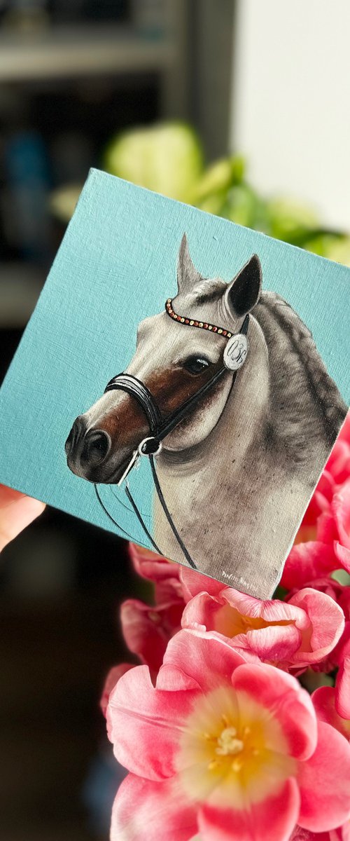 Horse Portrait 10 by Anastasia Parfilo