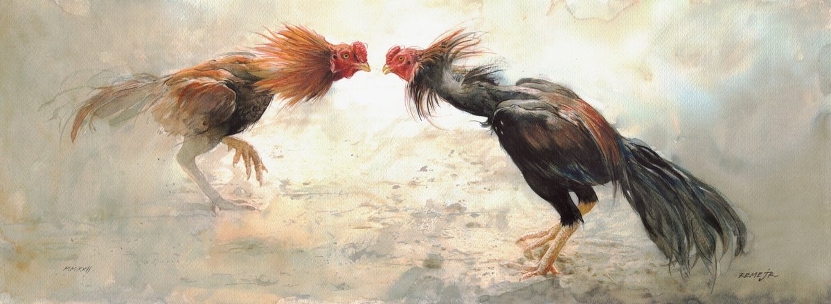 Photorealistic Animal Watercolour By Reme Jr., 26 X 10", Roostes Fighting, Original Artwork