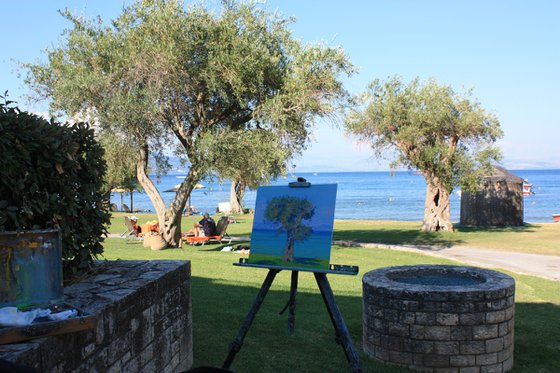 Olive tree on the Dassia