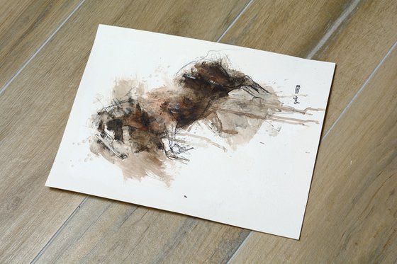 Equine Nude 170t
