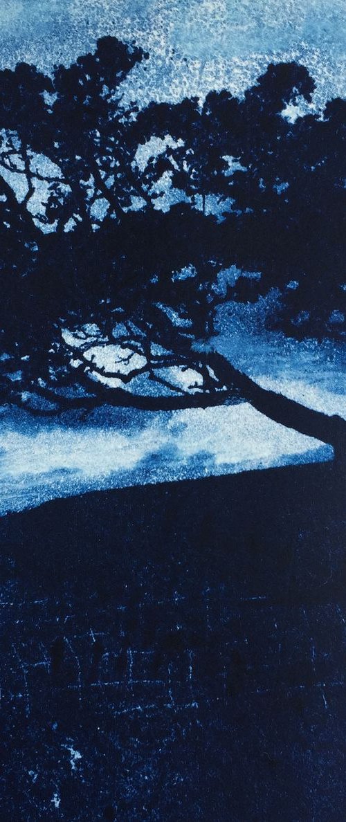 Wuthering Hawthorn by Diane McLellan