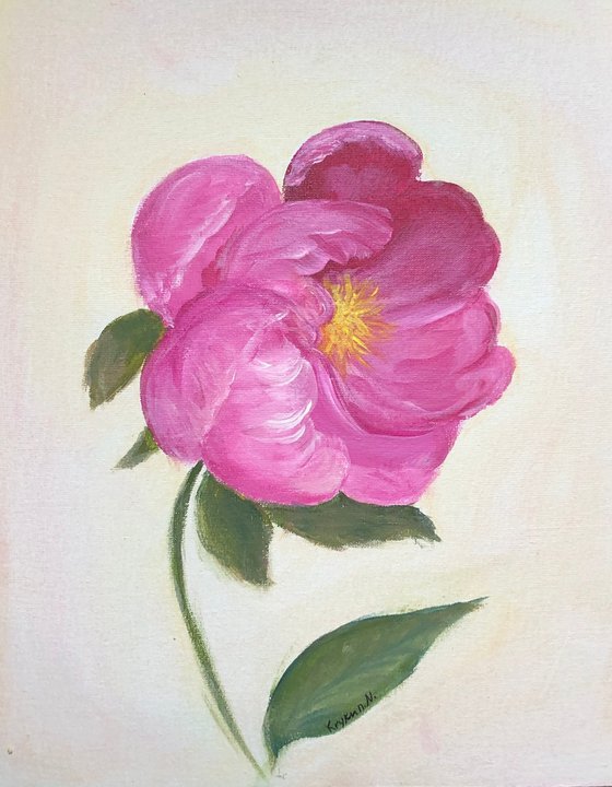 Peony pink