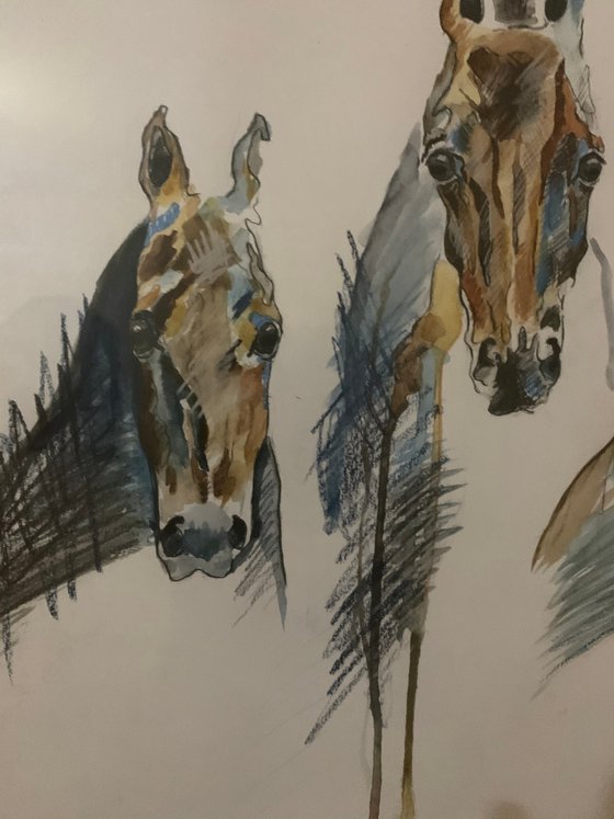 Horses ( large size ) watercolour