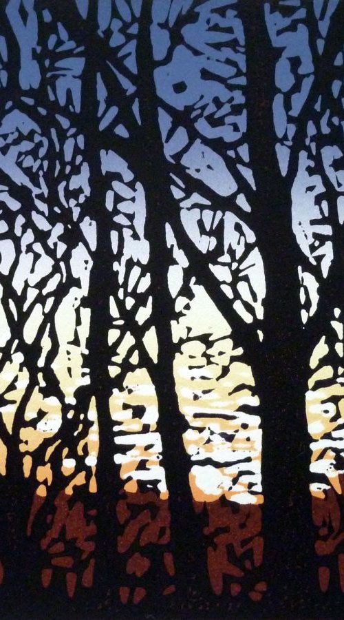 Stoke Wood Sunset by Alexandra Buckle