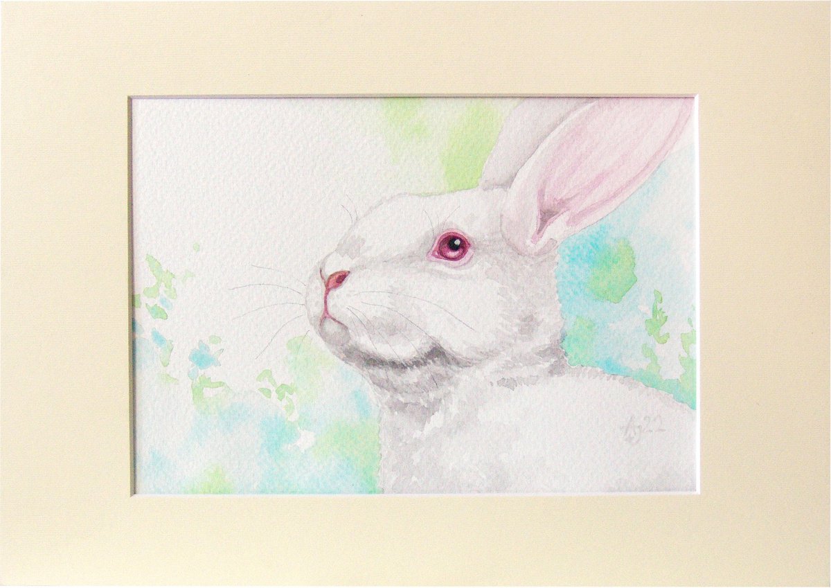 Bunny 3 by Jolanta Czarnecka
