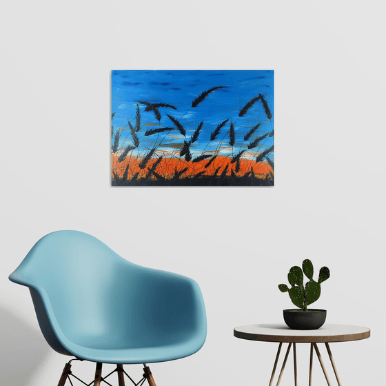 Sunset in the grass
