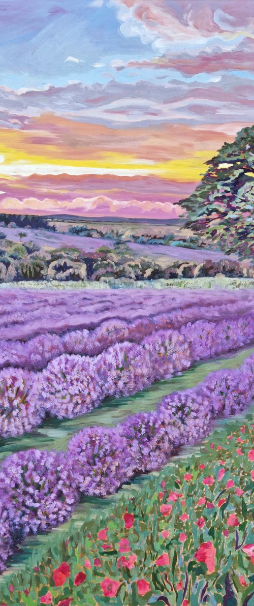 Lavender Field by Zulfiya Mukhamadeyeva