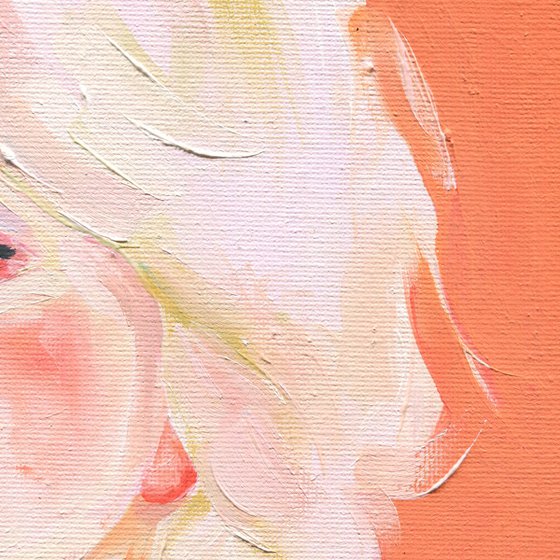 A Thousand Stories 19