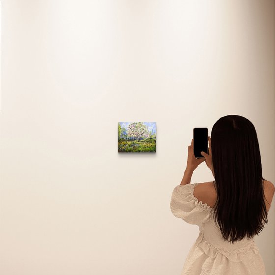 Spring dream