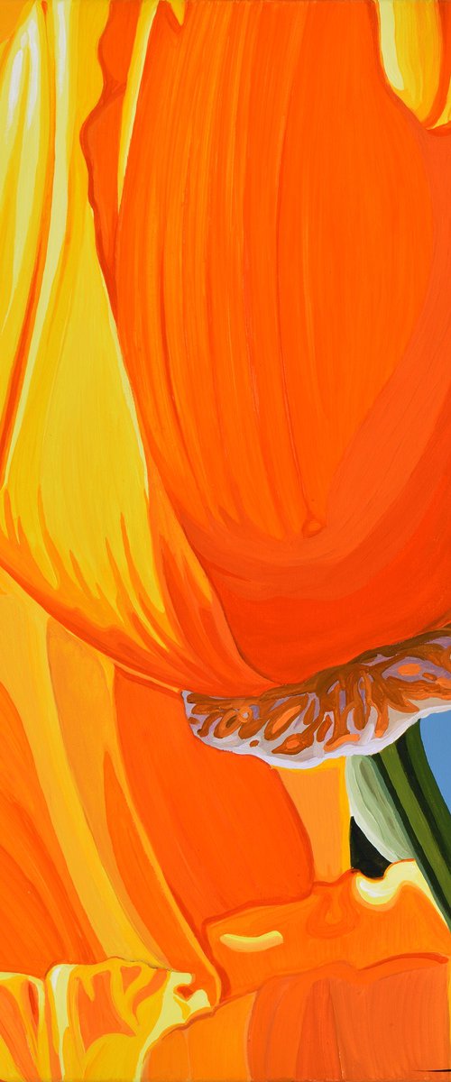 Californian Poppy and Wind #7 by Alex Nizovsky