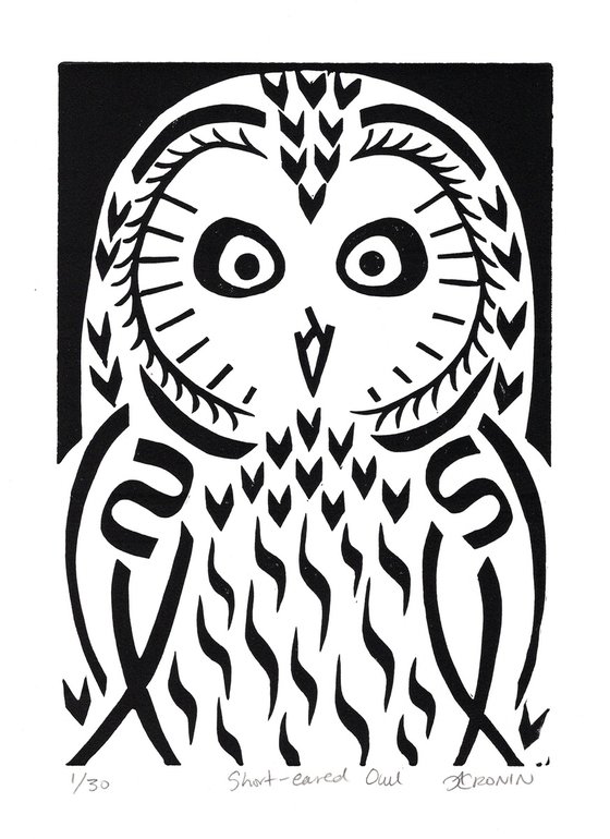 Short-eared Owl b/w (edition of 30)