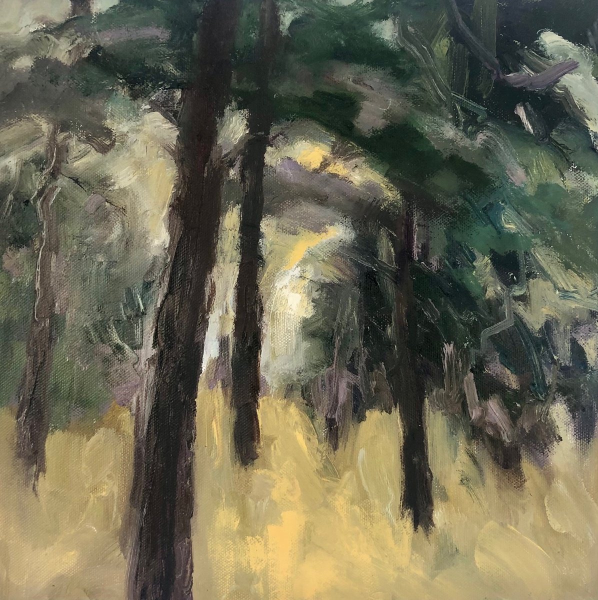 Through The Woods By Joanna Farrow, 13 X 13, Artwork For Sale On Artfinder