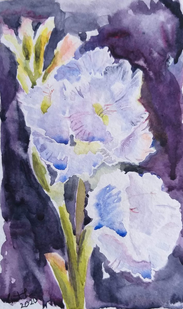 Flowers watercolor by Geeta Yerra