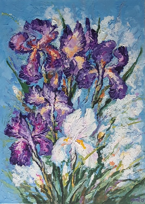 Irises 2