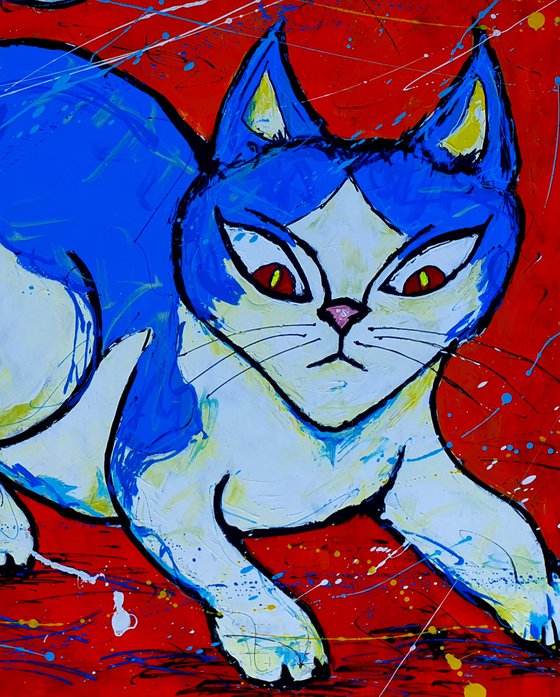 Blue Cat in the hunt