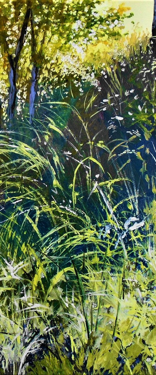 Sunlight Through the Grass by Rod Bere