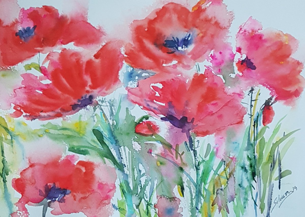 Poppy study by Silvia Flores Vitiello