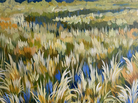 Summer Fields II