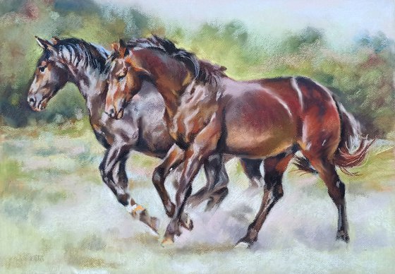 A couple at a gallop