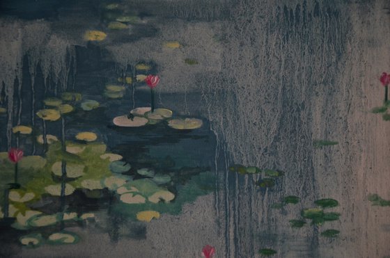 Lily pond. Petrichor