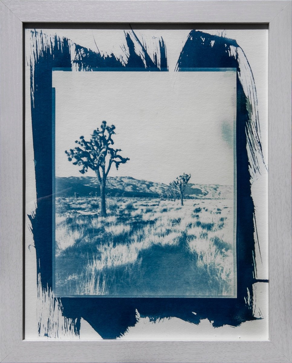 Abandoned Mojave, Cyanotype by Mark Hannah