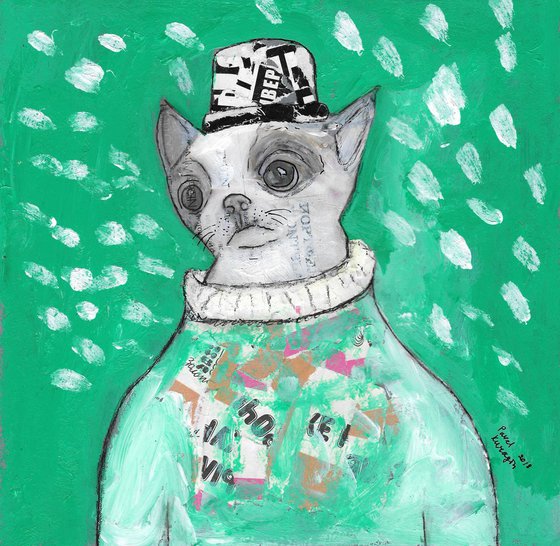 Fashion chihuahua puppy