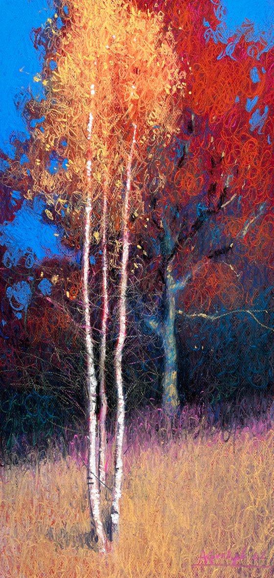 Autumn Carpathians birches