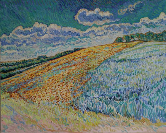 Poppy field on hill