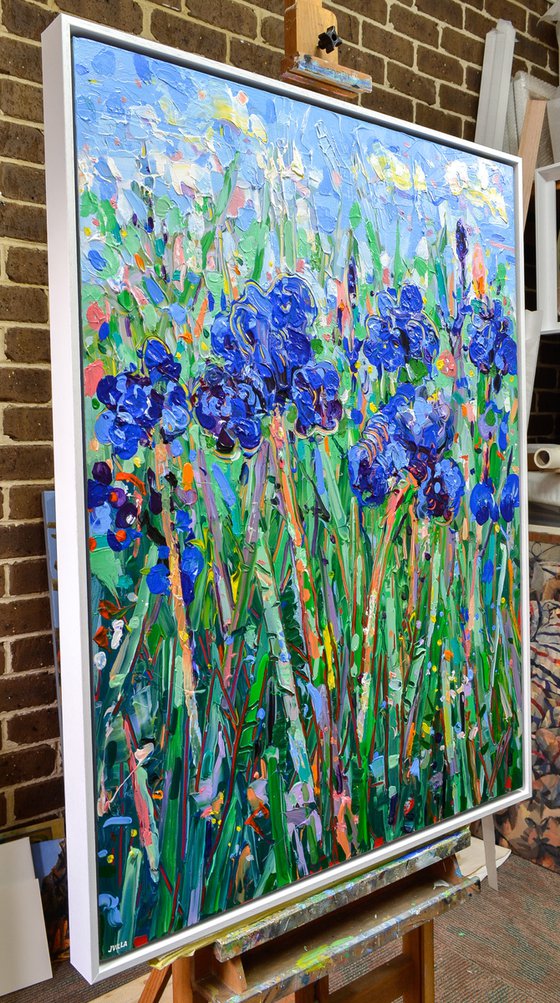 Blue Irises 4 - Framed