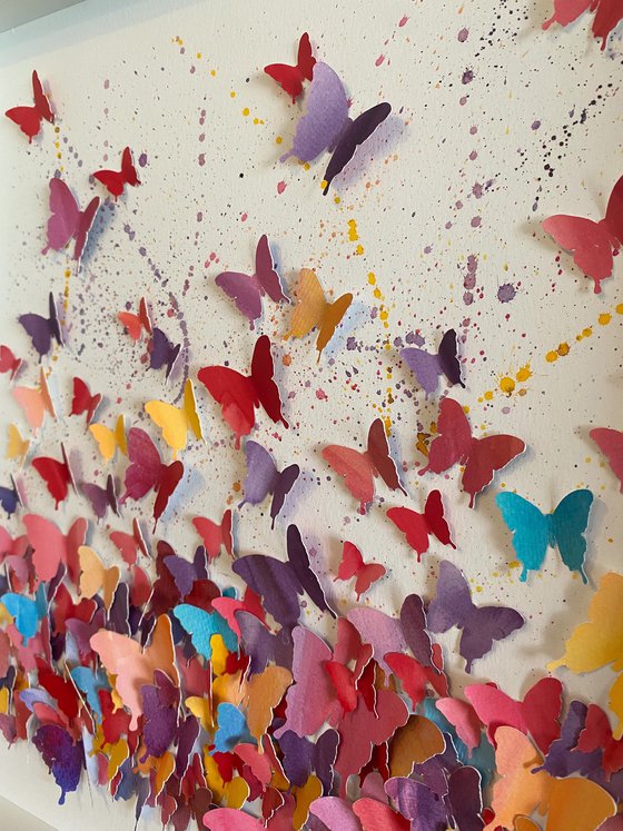 A pop of colour - Butterfly flight