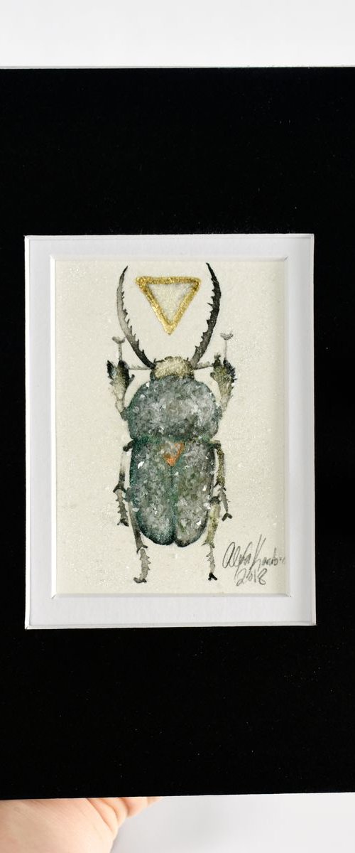 Beetle, Lamprima Adophinae by Alexa Karabin