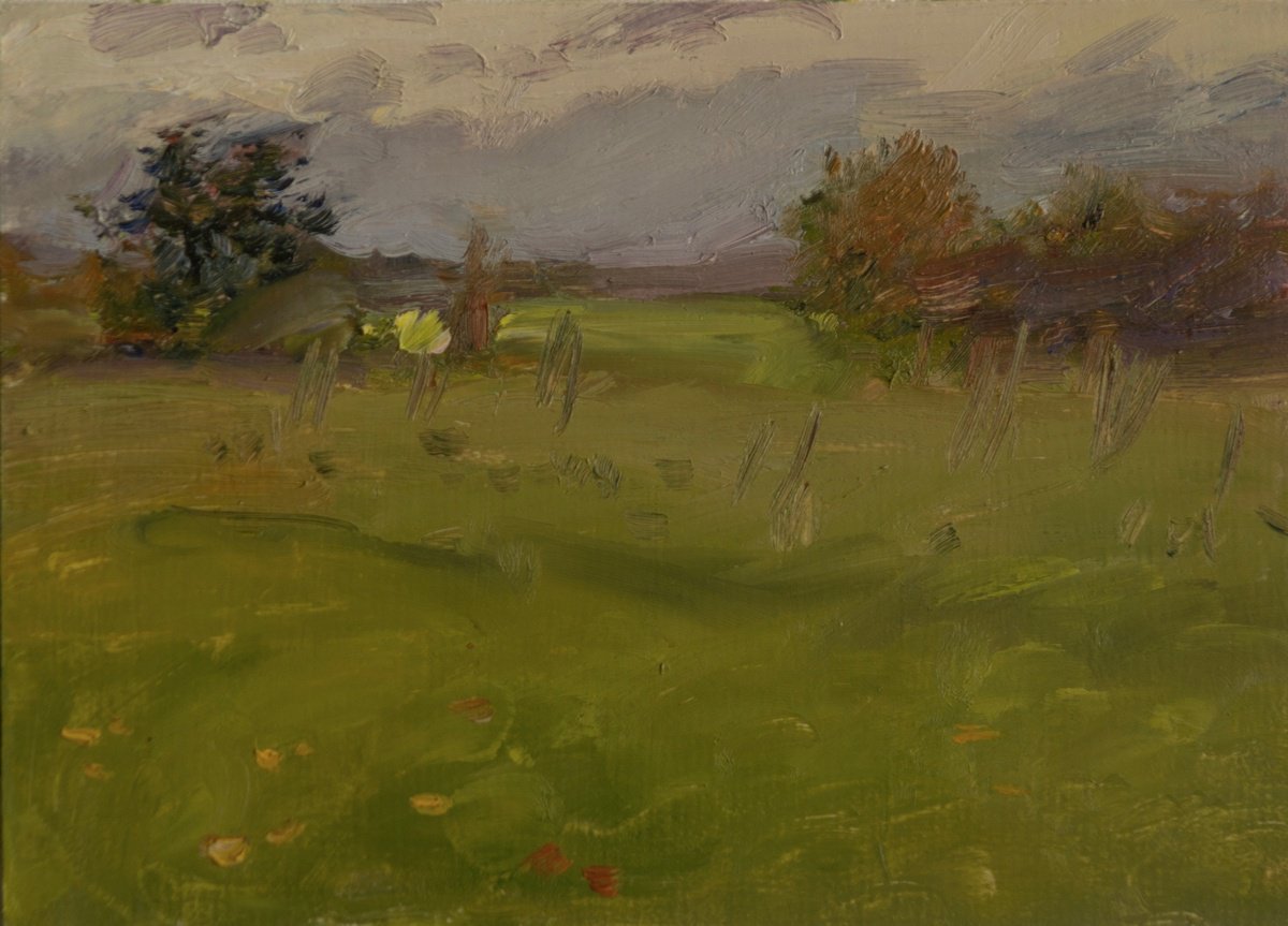 Impressionistic Landscape Oil Painting By Anastasia Borodina, 8 X 6, November Evening, Original Artwork