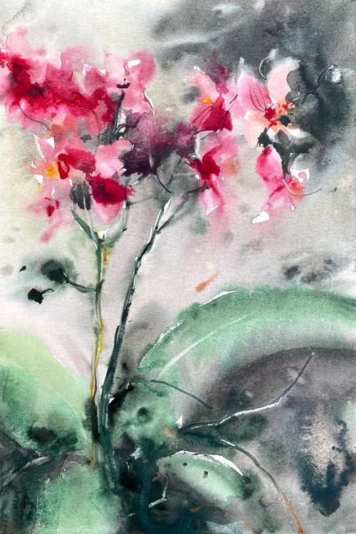 Orchids 2 - floral watercolor sketch by Anna Boginskaia