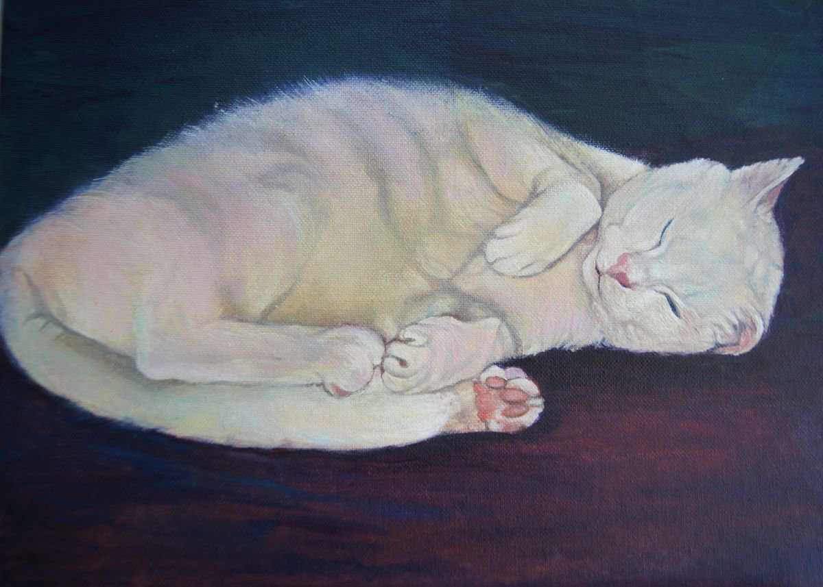 White cat by Karen Wilcox
