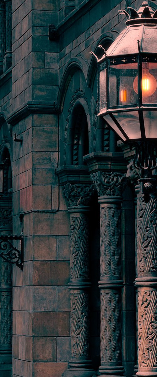 Dark and Light by Tatiana Zappa