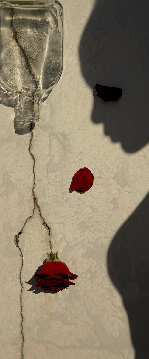 A Rose Through The Crack #2 by xidong luo