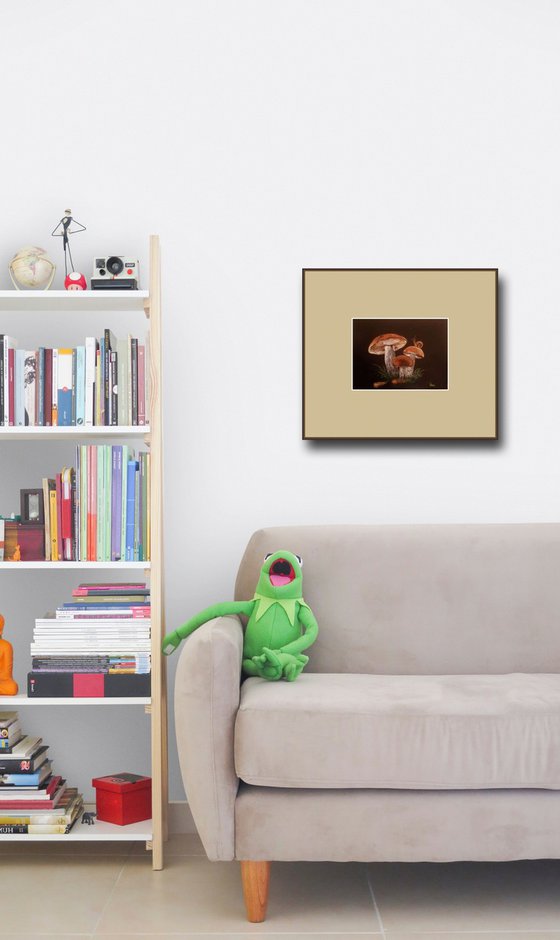 Family of mushrooms at Dusk