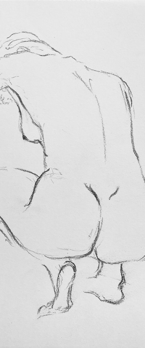 nude drawing 4. by Anna Bogushevskaya