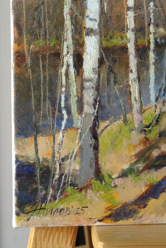 Spring on the Chibyshva River