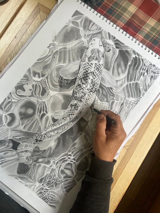 Koi Carp Pencil Drawing