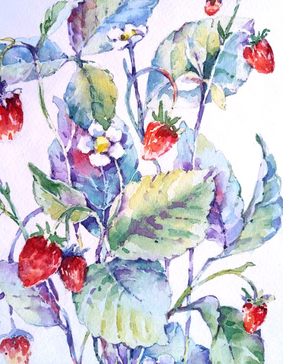 "Bouquet of strawberry sprigs" modern watercolor botanical sketch