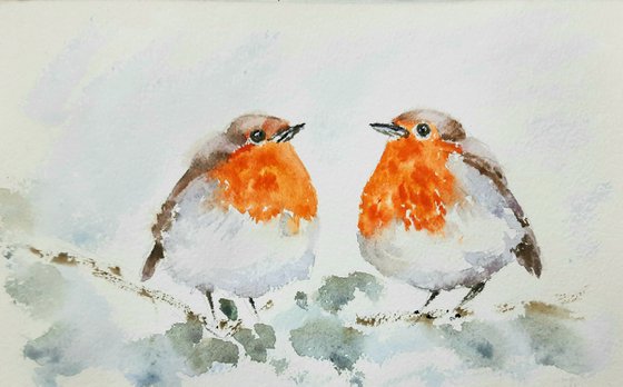 Two fluffy Robin birds