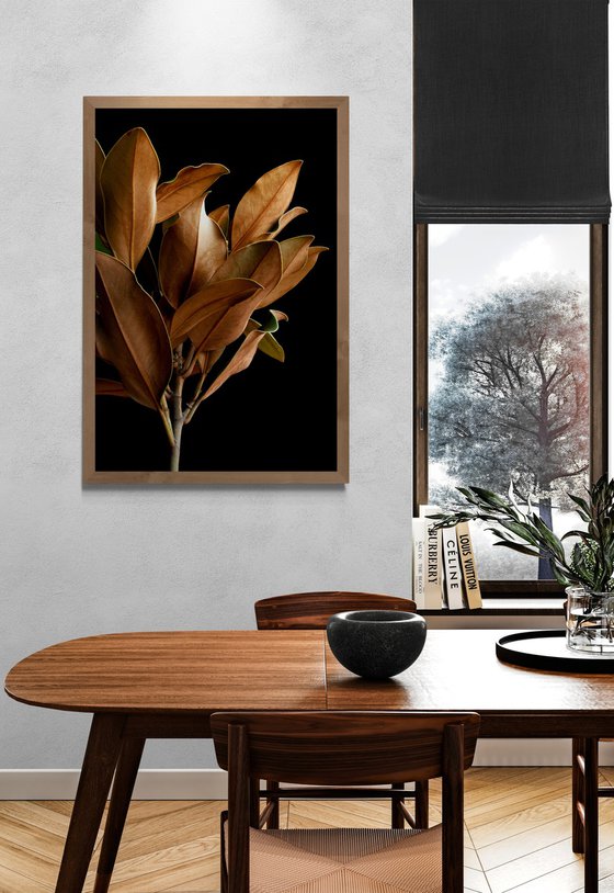 Magnolia Leaves