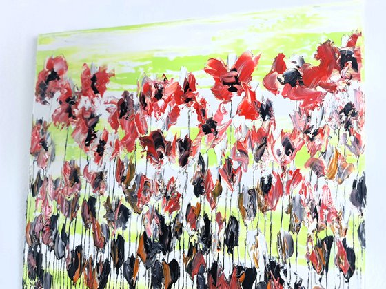 Poppy Flowers 2