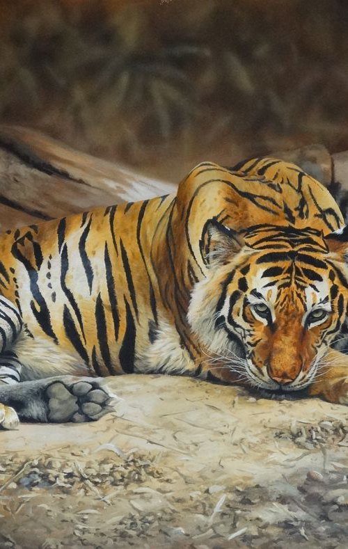 Bengal Tiger by Julian Wheat
