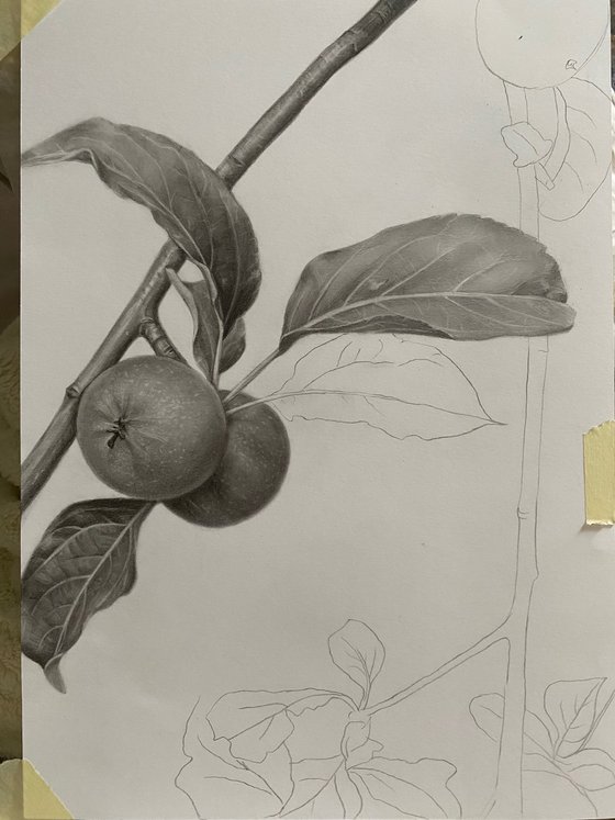 The Taste of Childhood